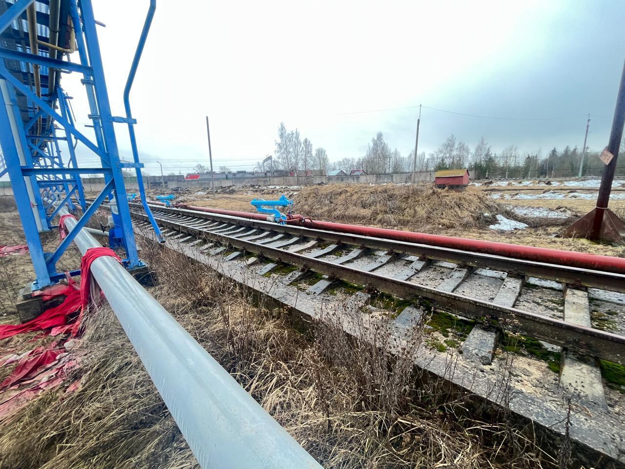 Фото земельного участка по адресу Ленинградская обл, Волосовский р-н, поселок Молосковицы